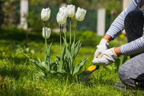 Team in Queens Park garden performing maintenance