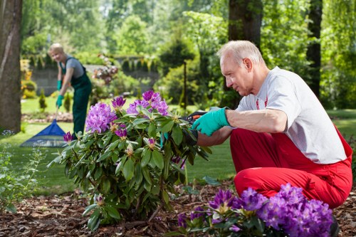 Photograph showing a client pointing out garden area