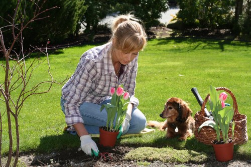 Inspector reviewing garden work midway through investigation